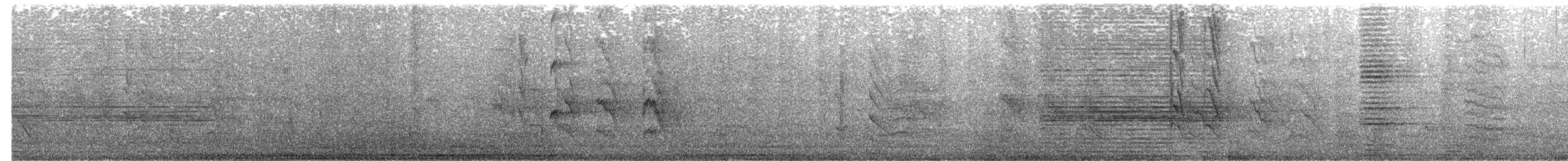 Rose-ringed Parakeet - ML646825591