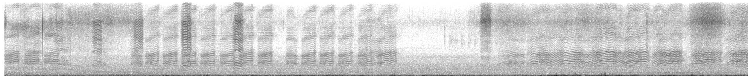 Large Gray Babbler - ML646825595