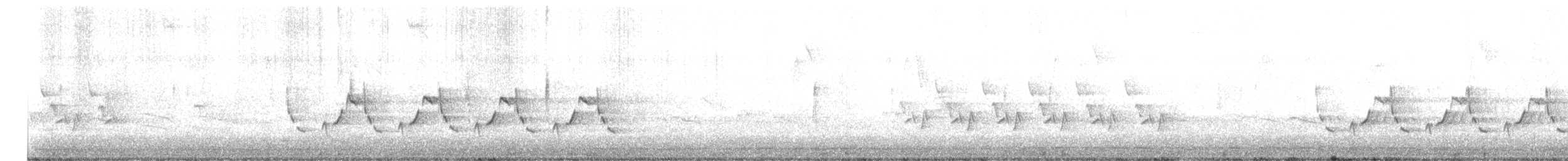 Carolina Wren - ML646825601