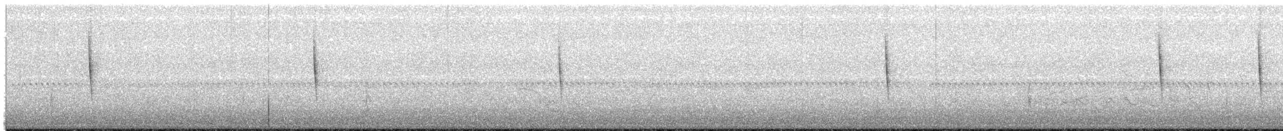 Sedge Wren - ML646825885