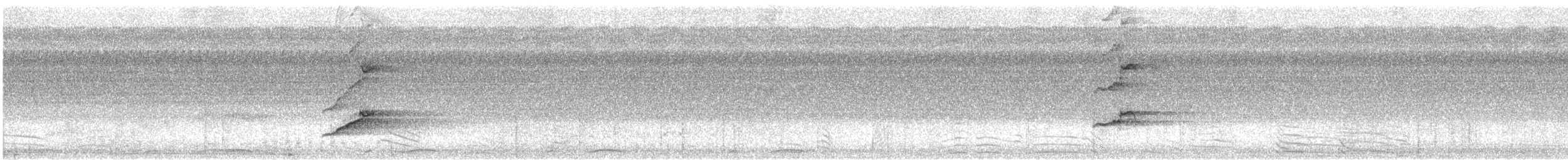 Moluccan King-Parrot - ML646826371