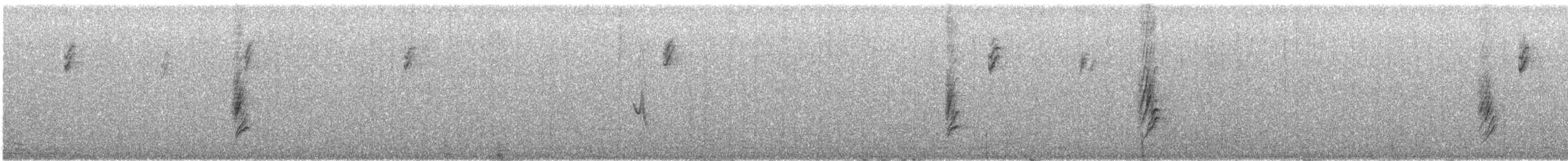 House Finch - ML646826844