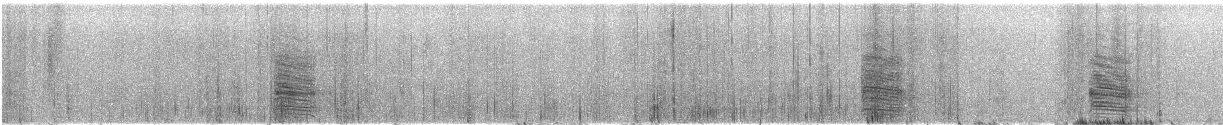 Purplish-backed Jay - ML646827031