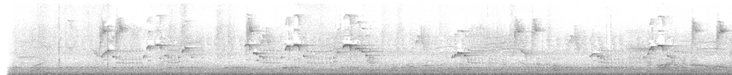 Gelbschnabel-Drosselhäherling - ML646827679