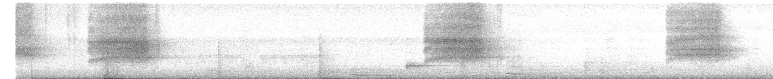 Eastern Barn Owl - ML646827935