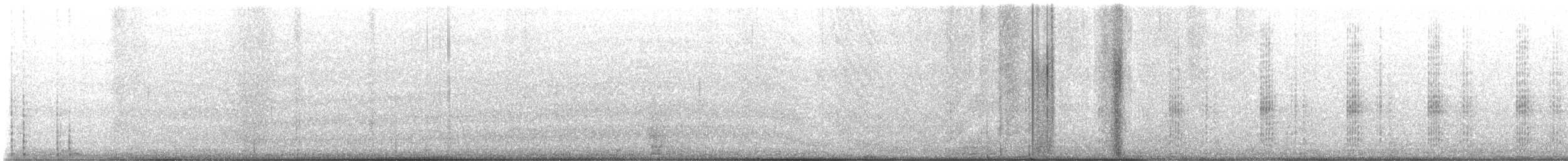 Foulque d'Amérique - ML646828188