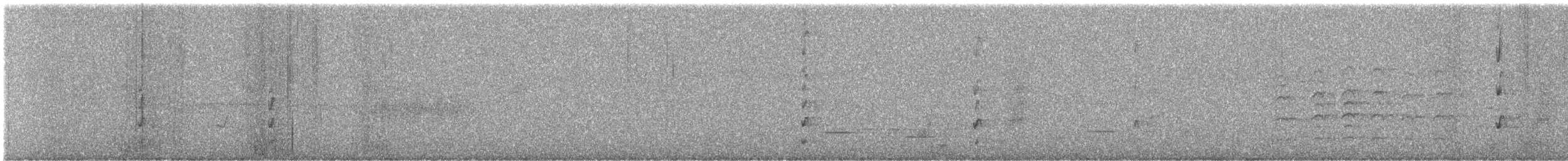 Autour australien - ML646828192