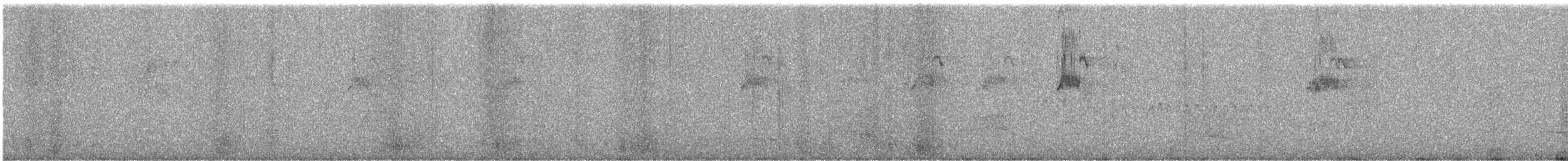 Lori à couronne pourpre - ML646828195