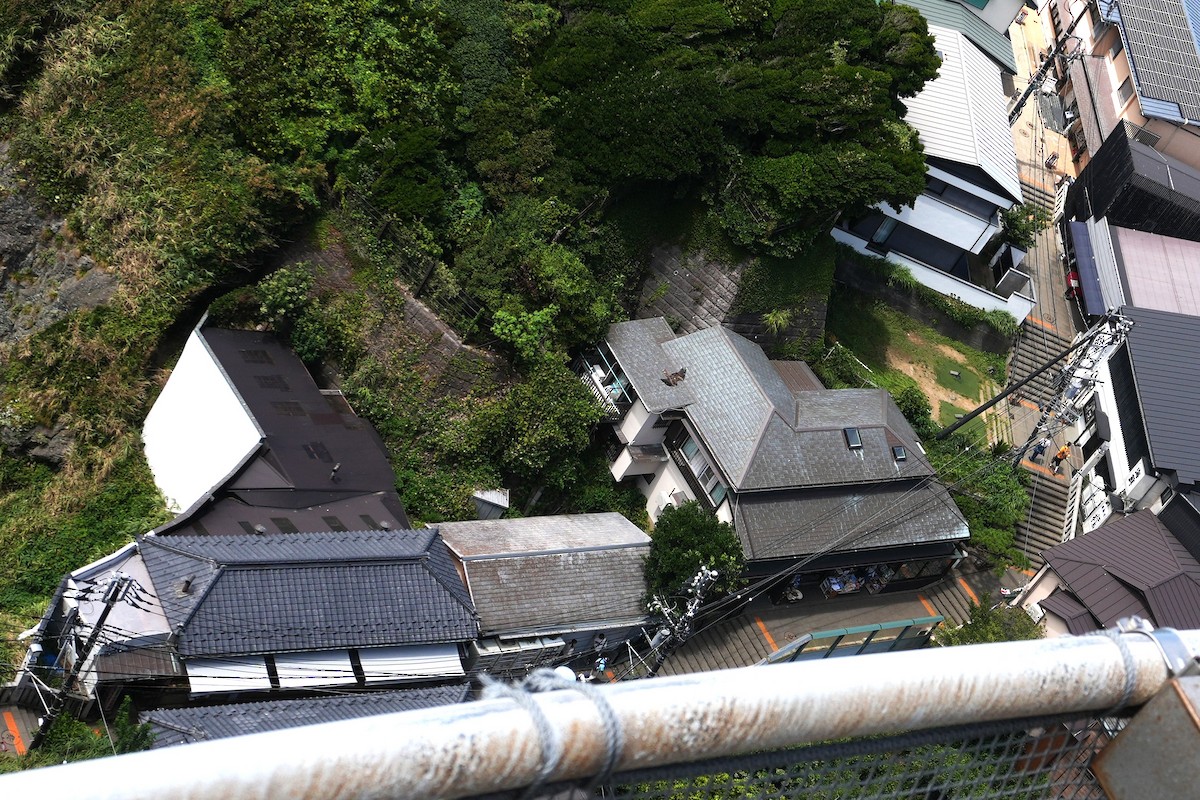 Kara Çaylak - ML646828304