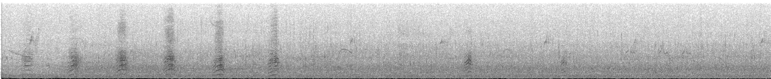 Cerceta Barcina (oxyptera) - ML646828335