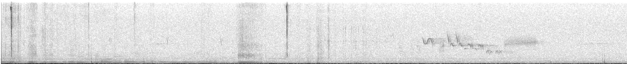 Metalura Tiria - ML646828349