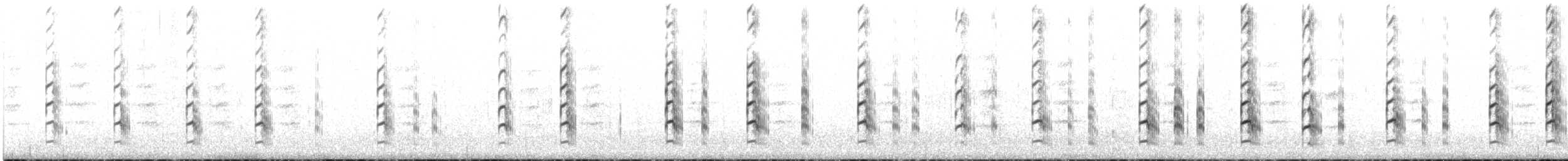 Чайка андська - ML646828356