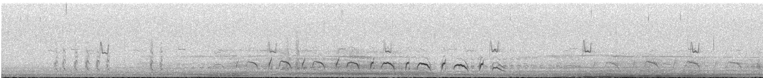 Jameson's Snipe - ML646828378