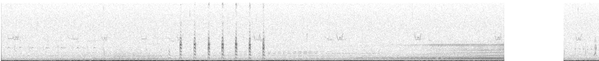 Баранець пунанський - ML646828402