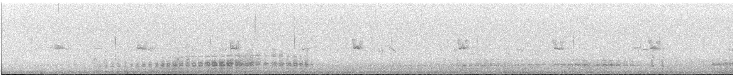 Баранець пунанський - ML646828403