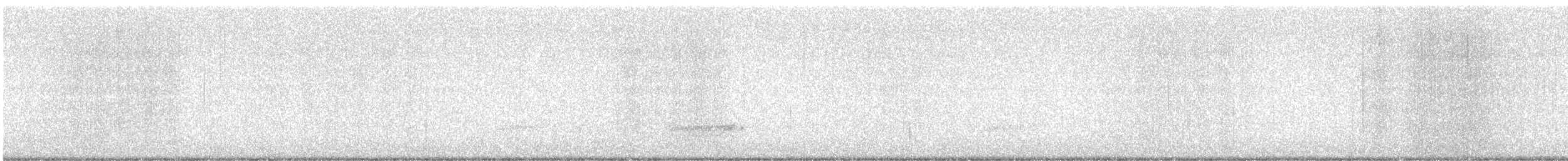 Amerikaschleiereule - ML646828612