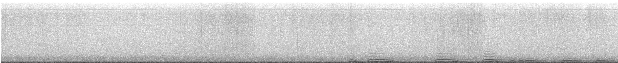 Virginiauhu - ML646828649