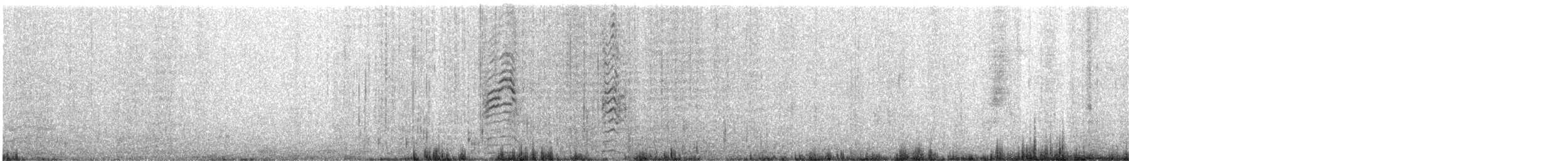 Blassfuß-Sturmtaucher - ML646829233