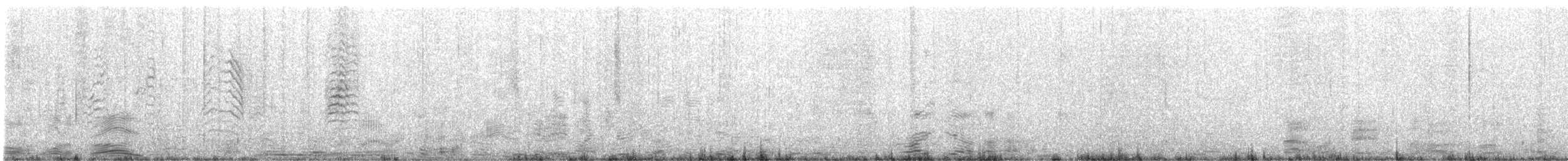 Blassfuß-Sturmtaucher - ML646829235