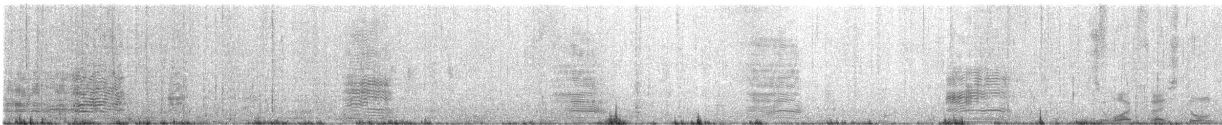 Indian Yellow-nosed Albatross - ML646829242