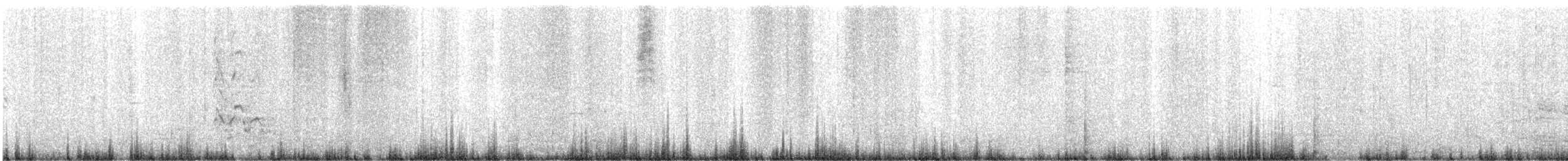 Pardela Gorjiblanca - ML646829248