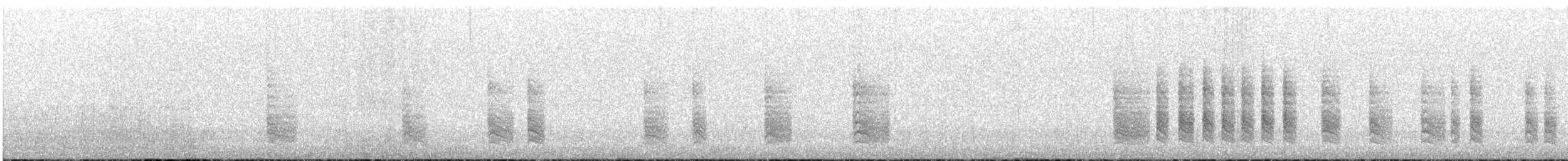 Southern House Wren - ML646829313