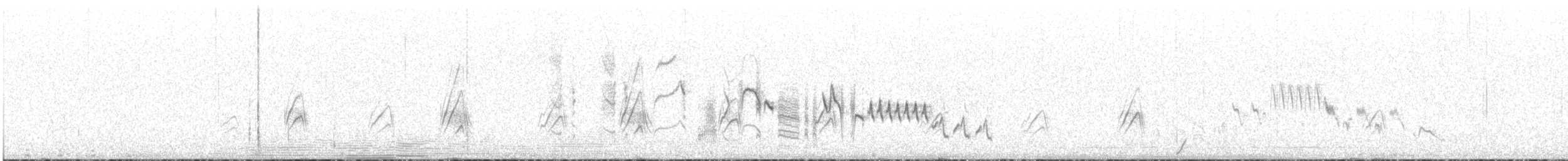 Southern House Wren - ML646829317