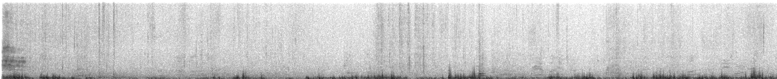 White-capped Albatross - ML646829368