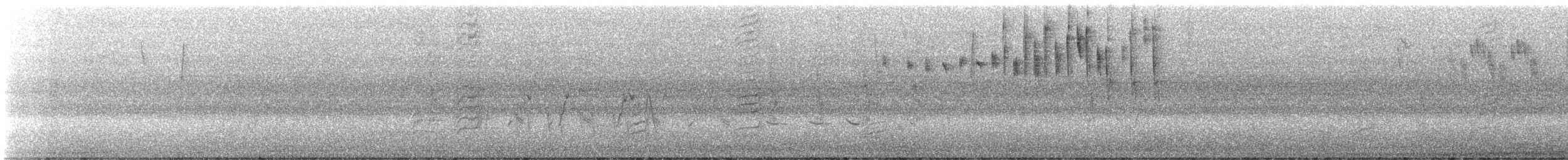 White-breasted Woodswallow - ML646829372