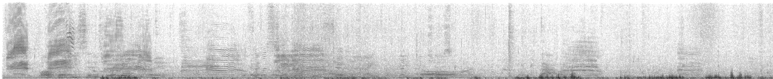 Hint Sarı Gagalı Albatrosu - ML646829423