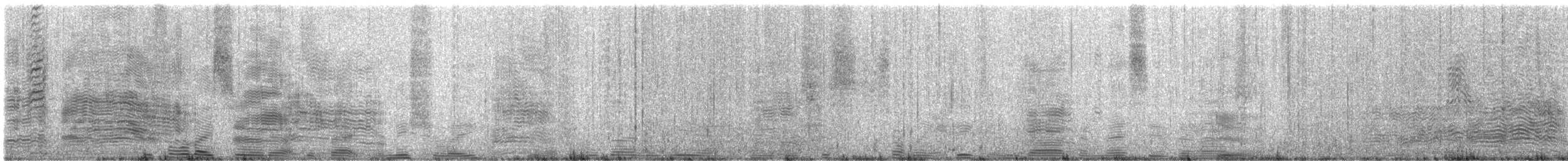 Indian Yellow-nosed Albatross - ML646829539