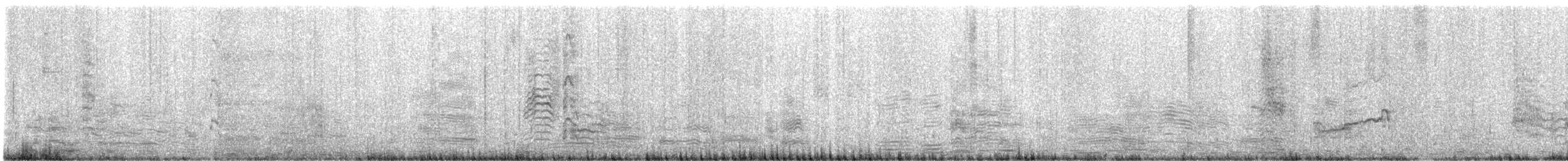 Pardela Gorjiblanca - ML646829542