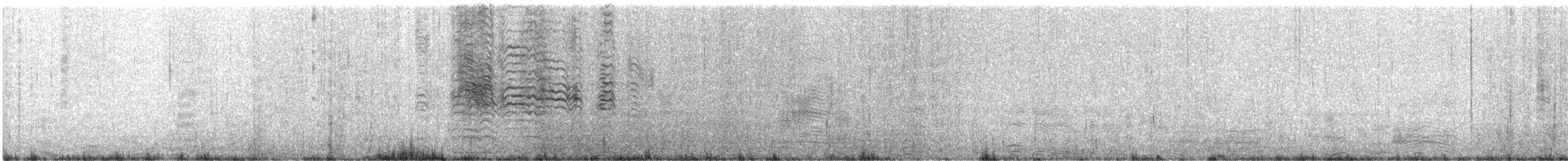 Blassfuß-Sturmtaucher - ML646829554