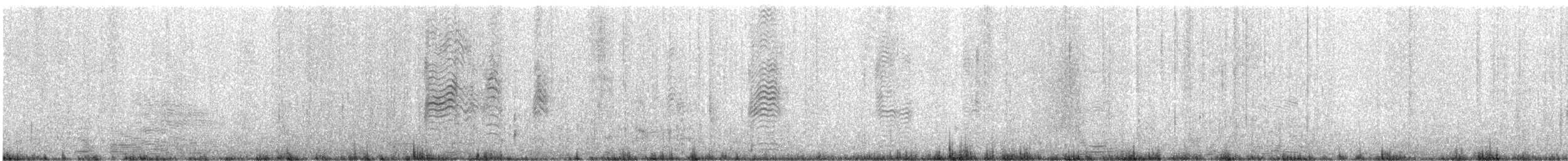 Blassfuß-Sturmtaucher - ML646829555