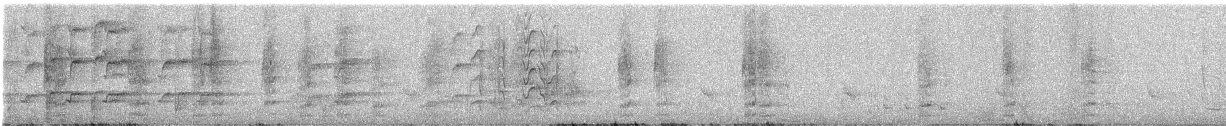 コダイマキエインコ - ML646829657