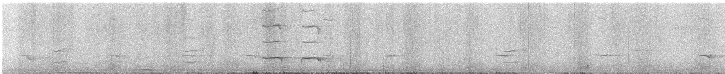 コダイマキエインコ - ML646829658