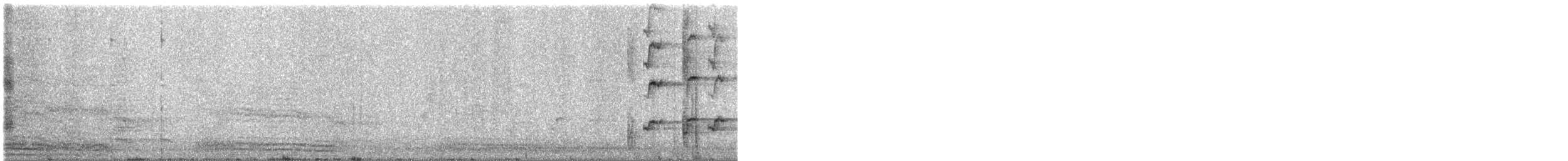 White-faced Heron - ML646829762