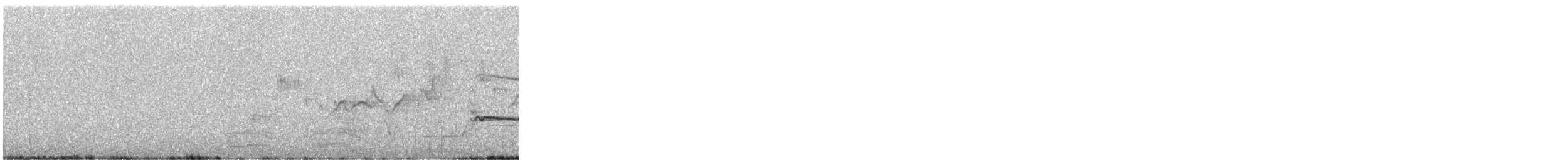 White-browed Babbler - ML646829906