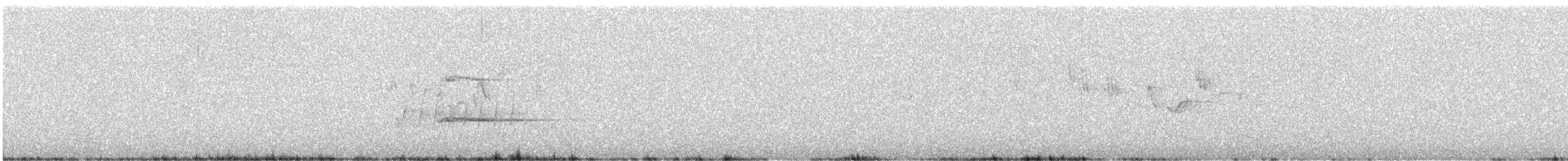 Gray Currawong (Gray) - ML646829908