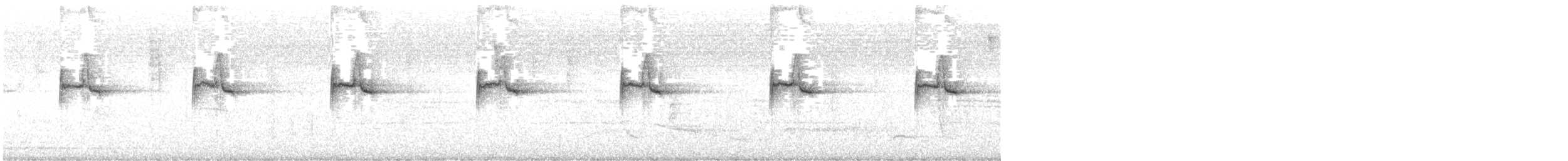 Séricorne des rochers - ML646830230