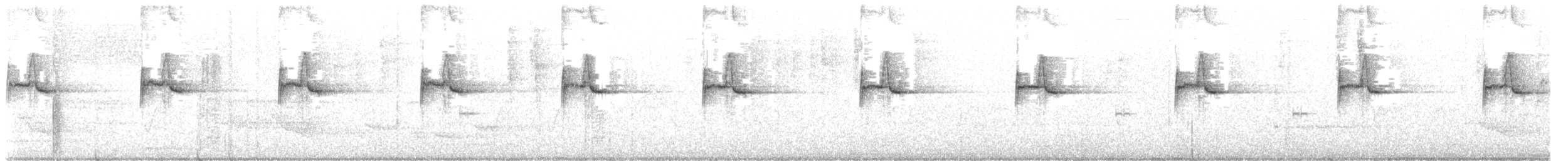 Séricorne des rochers - ML646830231