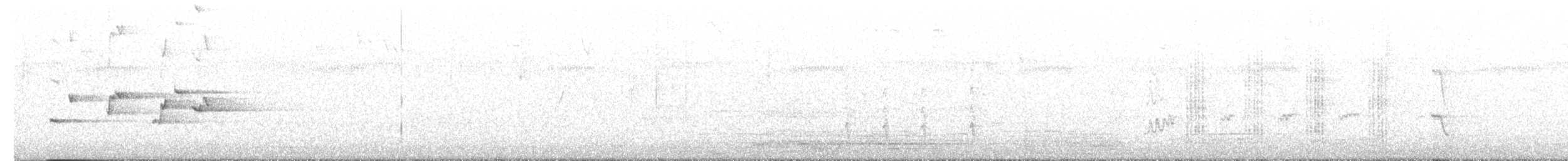 Willie-wagtail - ML646830260