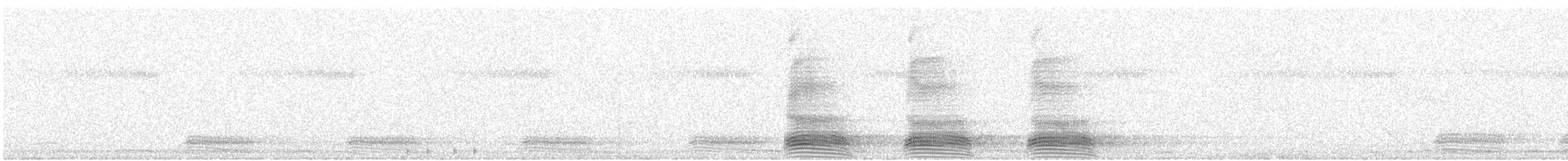 Large-billed Crow (Eastern) - ML646830707