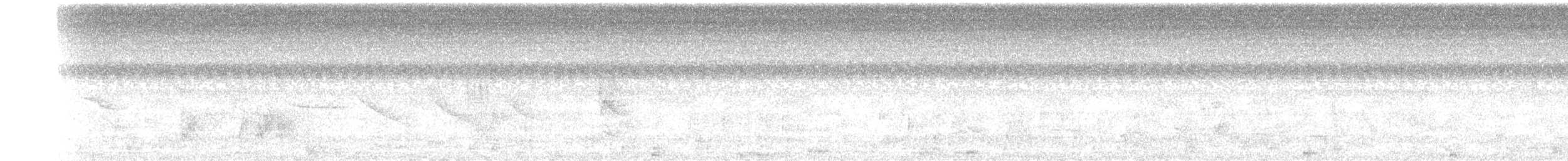 Olivaceous Elaenia - ML646830895