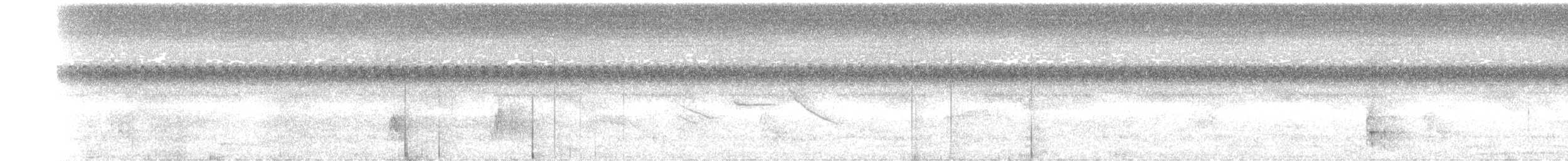 Olivaceous Elaenia - ML646830928