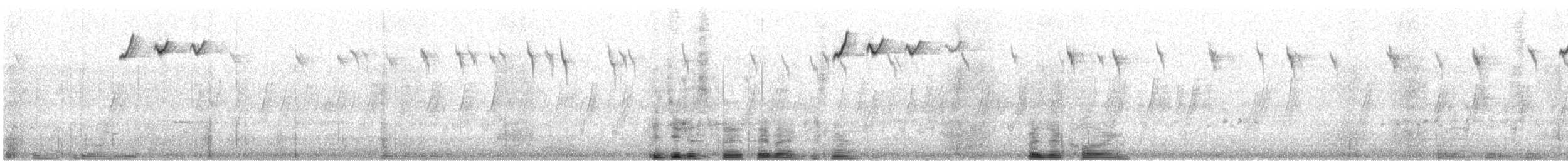 Толстоклювый амитис (myall) - ML646831274