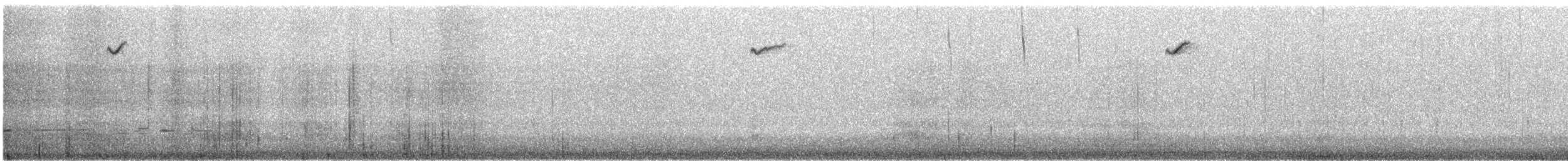 Толстоклювый амитис (myall) - ML646831275