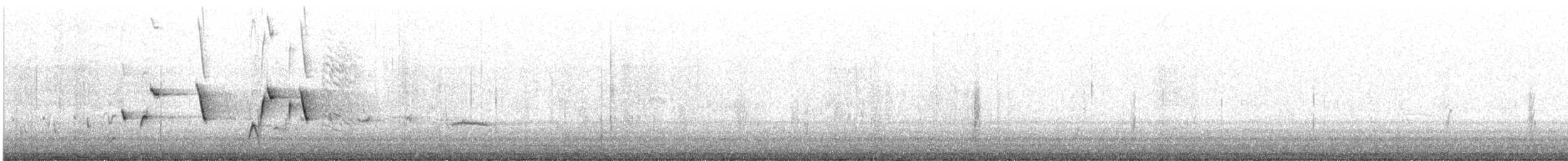 Чёрно-белая веерохвостка - ML646831278