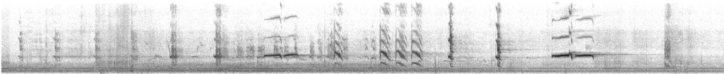 ハナガサインコ - ML646831298