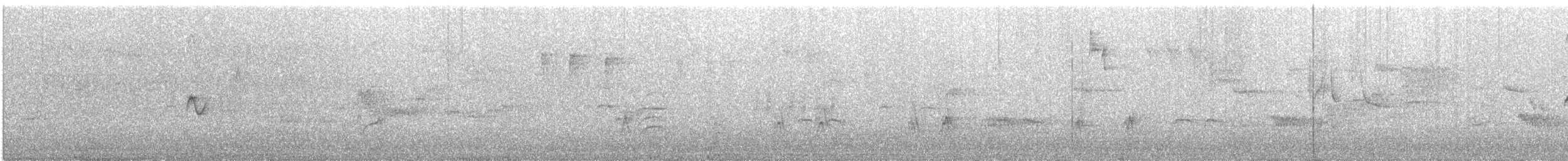 チフチャフ - ML646832205